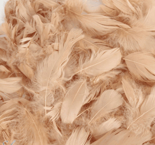 Natural Feathers for Balloons (Eleganza 50g Bag)