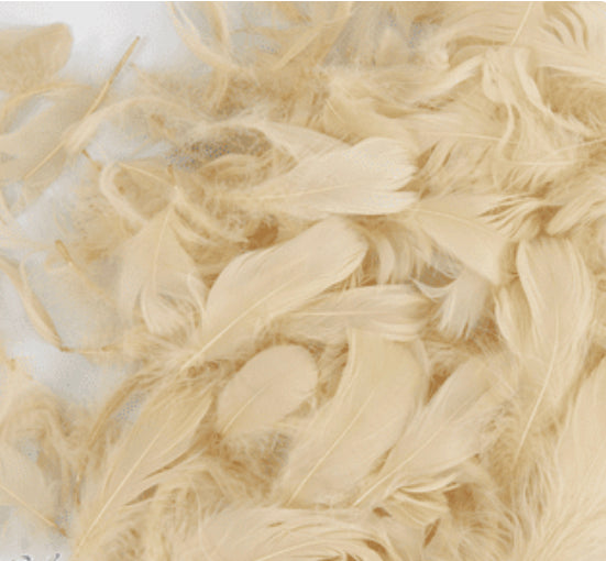 Pampas Feathers for Balloons (Eleganza 50g Bag)