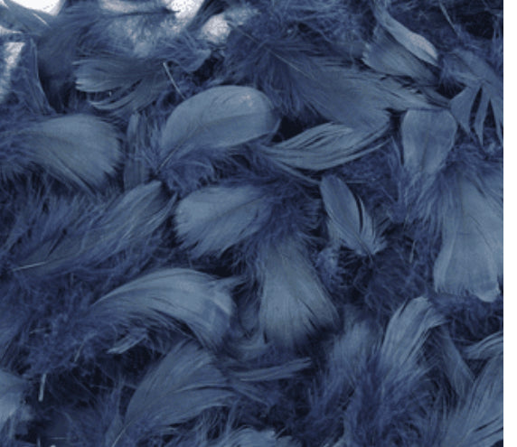Navy Blue Feathers for Balloons (Eleganza 50g Bag)