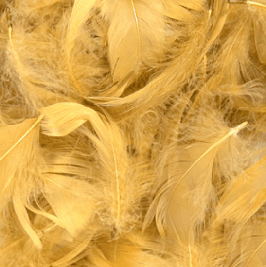 Gold Feathers for Balloons  (Eleganza 50g Bag)
