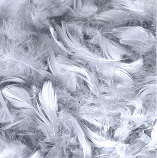 Silver Feathers for Balloons (Eleganza 50g Bag)