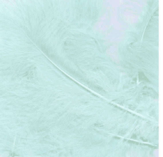 Light Blue Feathers for Balloons  (Eleganza 50g)