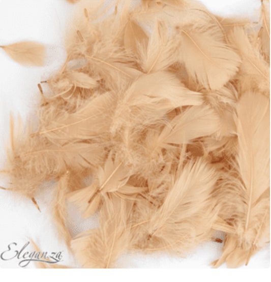 Blush Feathers for Balloons (Eleganza 50g Bag)