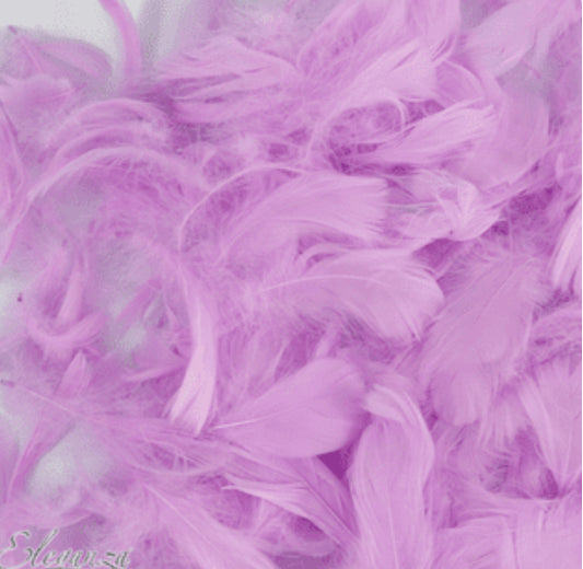 Lavender Feathers for Balloons (Eleganza 50g)