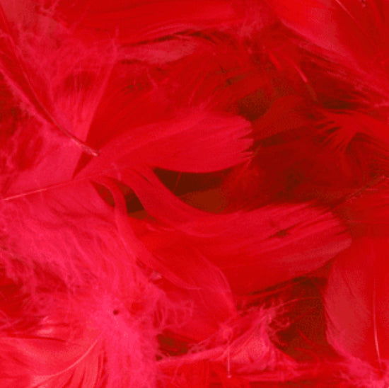 Red Feathers for Balloons (Eleganza 50g Bag)